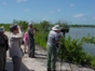 Birdwatching in the Zapata Peninsula - "Hiking and Birdwatching"