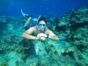 Snorkeling at the coral reef, "Private Charter  in Jardines del Rey" Tour