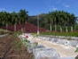 Mausoleo a los Héroes y Mártires del II Frente Oriental “Frank País”, Santiago de Cuba.