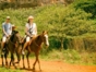 "Horseback Adventure through the Valley of Viñales" Tour