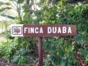 “Visit to FINCA DUABA – RÍO TOA” Tour