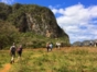 “Hiking Tour Through the Valle del Silencio”