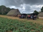 Buggy Tour, Viñales, Pinar del Rio, Cuba