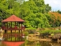 Botanical  National Garden, Havana City