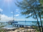 "SAFARI CAYO MEDIA LUNA" Tour