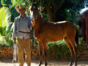 Cuban farmer tradition´s at countryside in Holguín