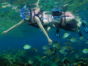 Snorkeling at Punta Perdiz-Zapata Swamp-Matanzas-Cuba