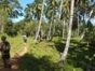 "TRAIL OF NIÑA BONITA - CAGUAGO" Trekking Tour