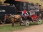 "Colonial Carriage in Trinidad" Tour