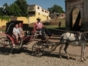 "Colonial Carriage in Trinidad" Tour