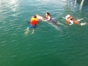 Swimming with dolphins at Bahía de Naranjo dolphinarium