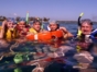 Snorkeling at Playa Coral, Matanzas