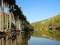 Canímar River-Matanzas-Cuba