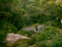 Mil Cumbres Park, Pinar del Río, Cuba