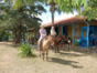 Horse riding in Casa Hacienda Guachinango, Valle de los Ingenios, Trinidad, Cuba.