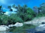 Cañas River at Manacal Camping, Arroyo Manacal, Trinidad, Provincia de Sancti Spíritus, Cuba.