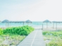 BEACH AREA