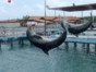 Dolphin show at Bahia de Naranjo dolphinarium, Esmeralda beach, Holguin