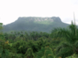 El Yunque panoramic view