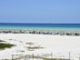 Beach at WOOVO Playa Hermosa Cayo Paredón Hotel, Cayo Paredón Grande, Morón, Ciego de Ávila, Cuba