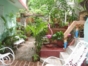 Inside patio-garden view