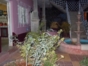 Inside patio view
