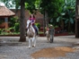 Horseback riding at La Casona, Trinidad