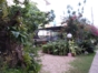 Inside patio-garden view