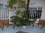 House's inside view