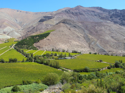 Elqui Valley, Coquicombo region, Chile