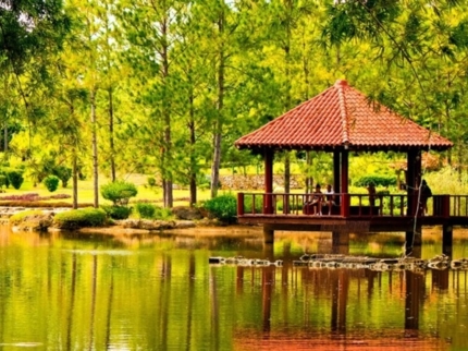 National Botanical Garden of Cuba-Japanese garden-Havana-Cuba