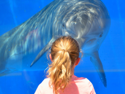 Visita al “Acuario Nacional de Cuba”