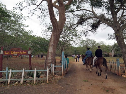 Ruins of the coffee plantation La Dionisia-Horse ride- Matanzas-Cuba