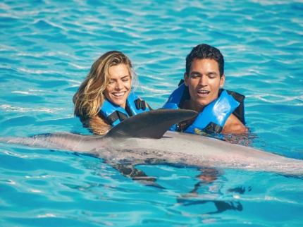 Excursion "Specialized swim with dolphins in Varadero"