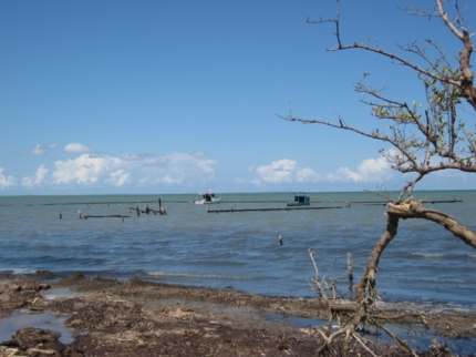 “Tracking The Pirates, A Trek Through Mangroves” Tour