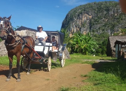 "Colonial Carriage in Viñales, Dreaming the Secrets of the Valley" Tour