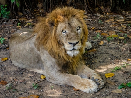 National Zoo of Cuba-Havana