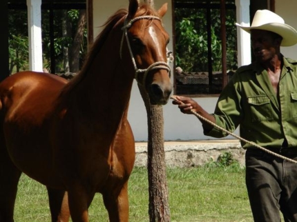 Giros farm, Santiago de Cuba