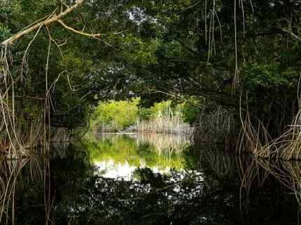 Gran Humedal Park, North of Ciego de Avila, Cuba