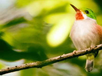 Jeep Safari "NATURE TOUR OBSERVACIÓN DE AVES EN SENDERO EL ENIGMA DE LAS ROCAS”