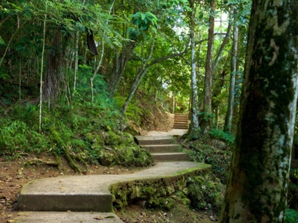 “Ruins of coffee plantations” Trail