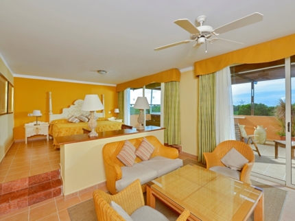 Junior Suite Room