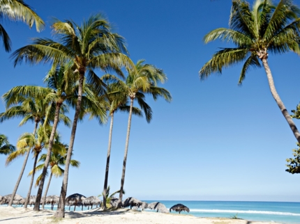 Panoramic beach view
