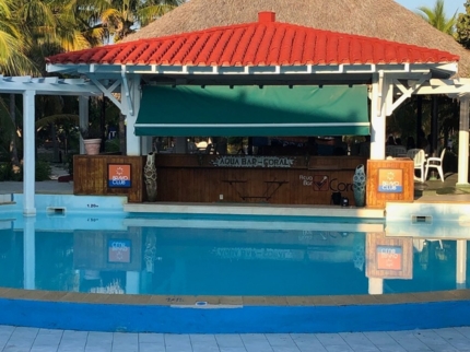 Aqua Bar (Swim-Up Bar)