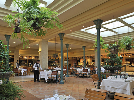 Buffet Restaurant Plaza Habana- Melia Cohiba