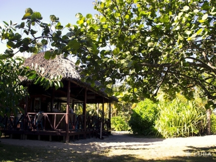 Beach Bar  Marengo (Playa Caleta Hotel section)