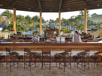 Lobby Bar El Manglar