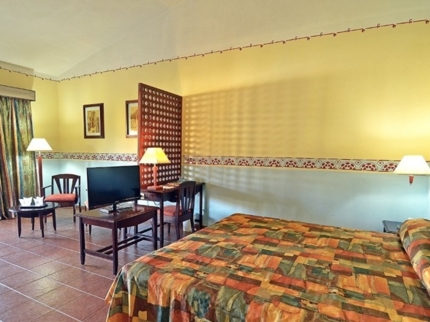 Mini Suite Room (Villa section)