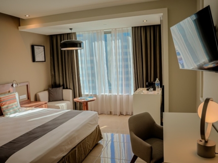 STANDARD OCEAN VIEW Room