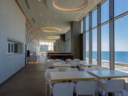 Casa de la Oliva - Tapas Bar